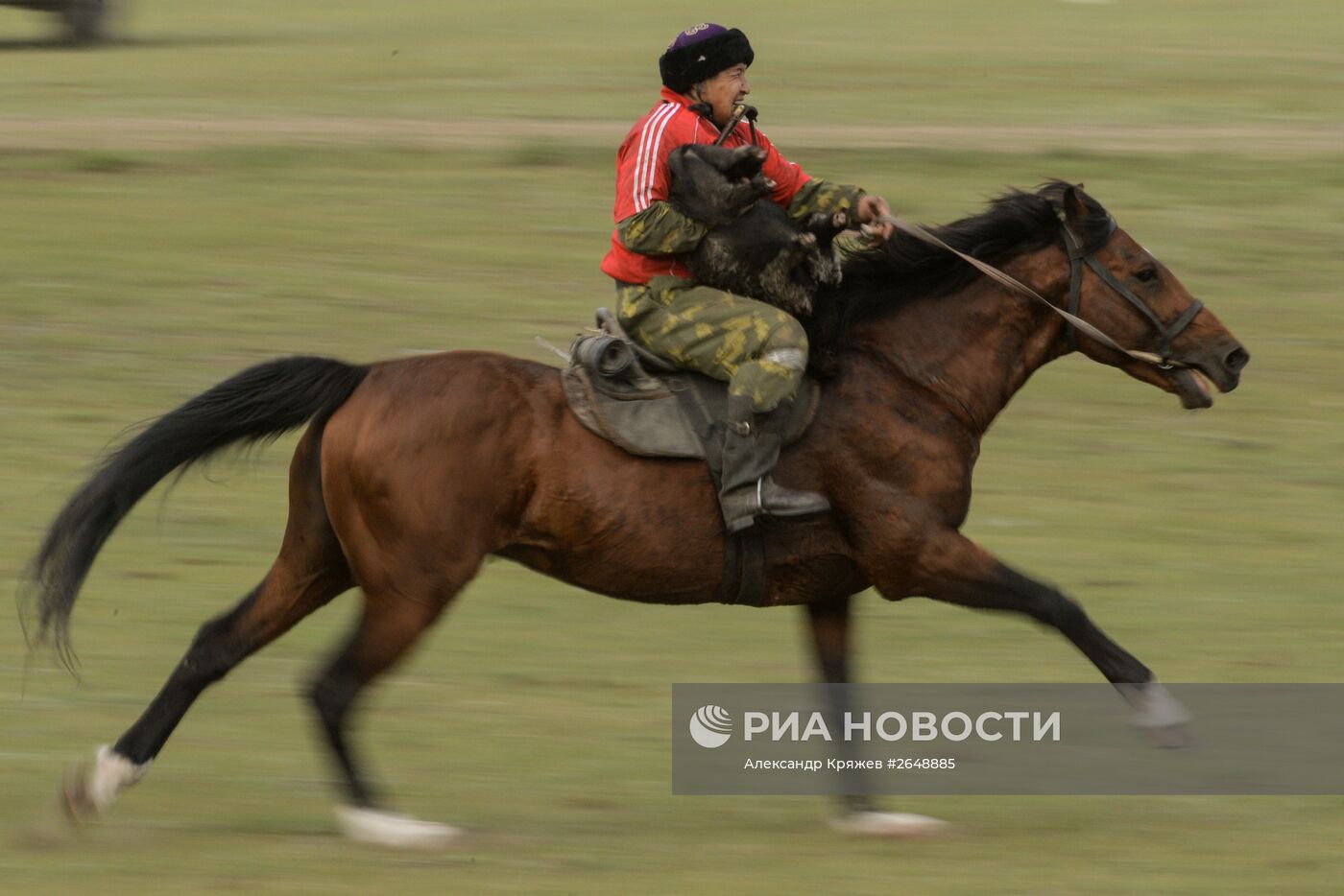 Соревнования по кок бору, в рамках празднования 150-летия единения теленгитов с Россией