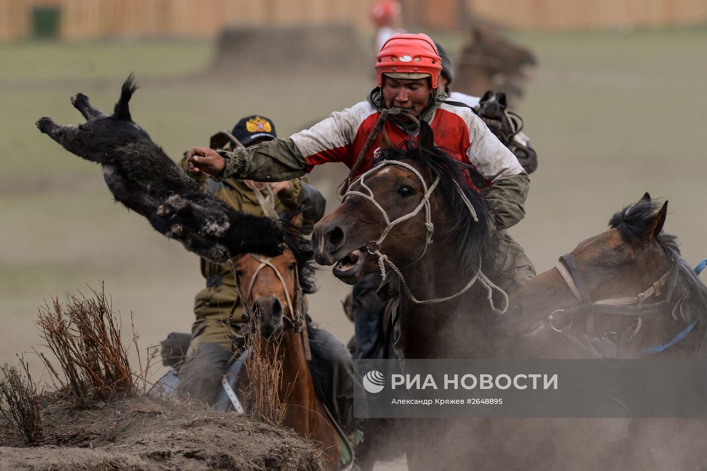 Соревнования по кок бору, в рамках празднования 150-летия единения теленгитов с Россией