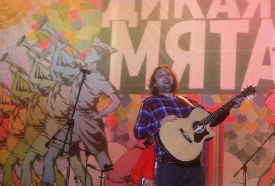 Международный фестиваль "Дикая Мята". День второй