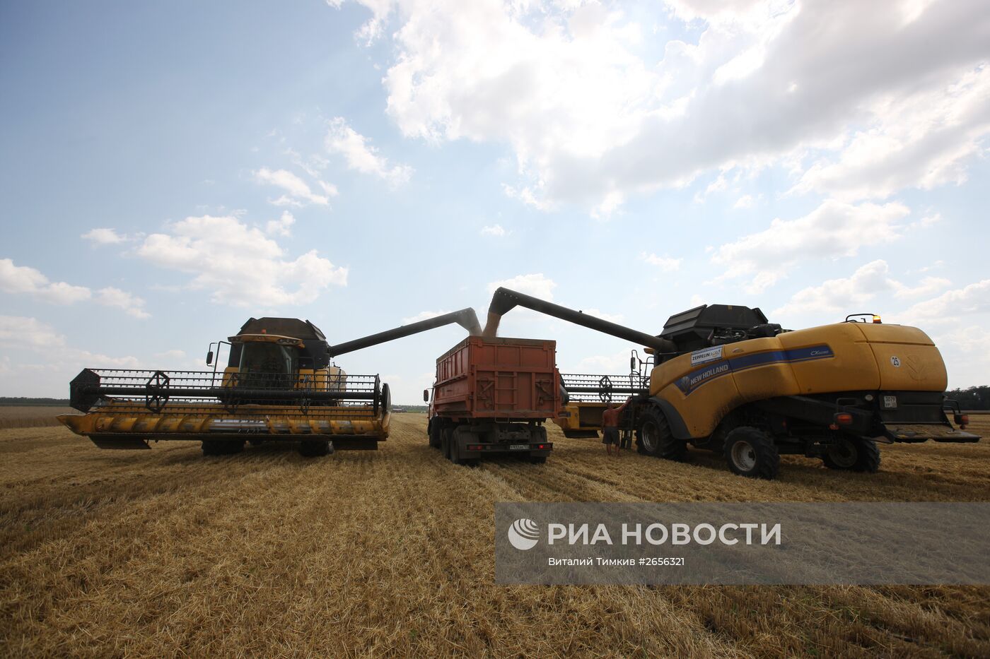 Уборка зерновых на Юге России