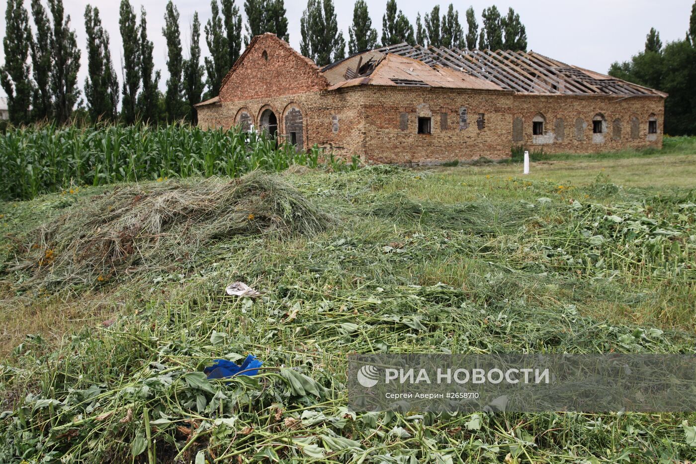 Место крушения Boeing 777 малайзийских авиалиний
