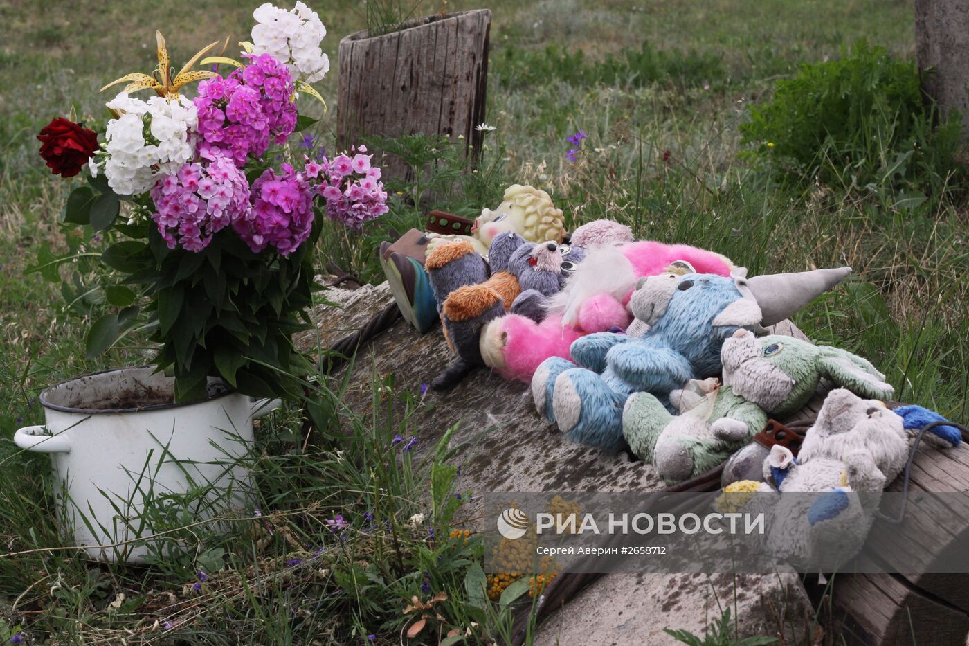 Место крушения Boeing 777 малайзийских авиалиний