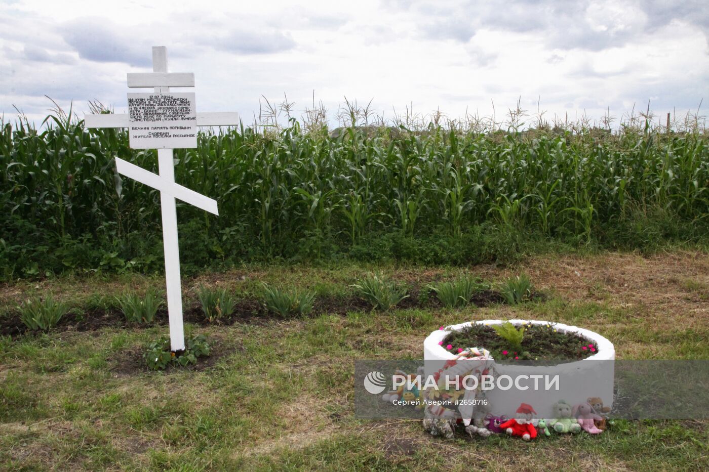 Место крушения Boeing 777 малайзийских авиалиний