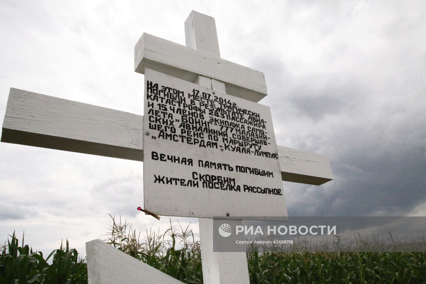 Место крушения Boeing 777 малайзийских авиалиний