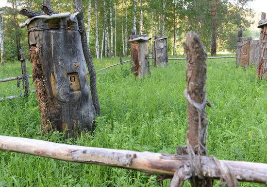 Государственный природный биосферный заповедник "Шульган-Таш" в Башкирии