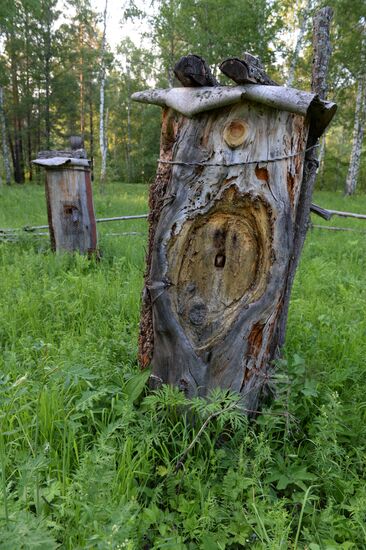 Государственный природный биосферный заповедник "Шульган-Таш" в Башкирии