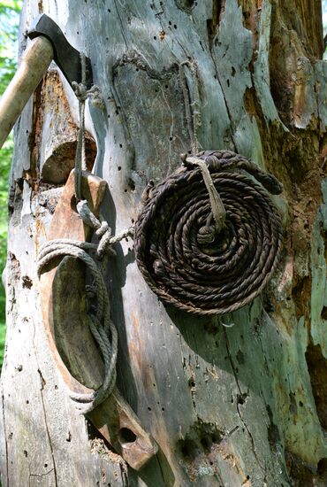 Государственный природный биосферный заповедник "Шульган-Таш" в Башкирии