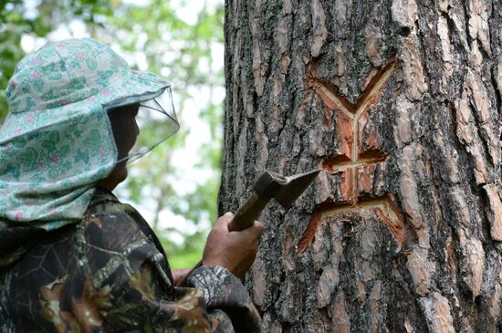 Государственный природный биосферный заповедник "Шульган-Таш" в Башкирии