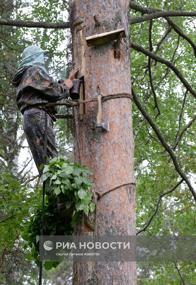 Государственный природный биосферный заповедник "Шульган-Таш" в Башкирии