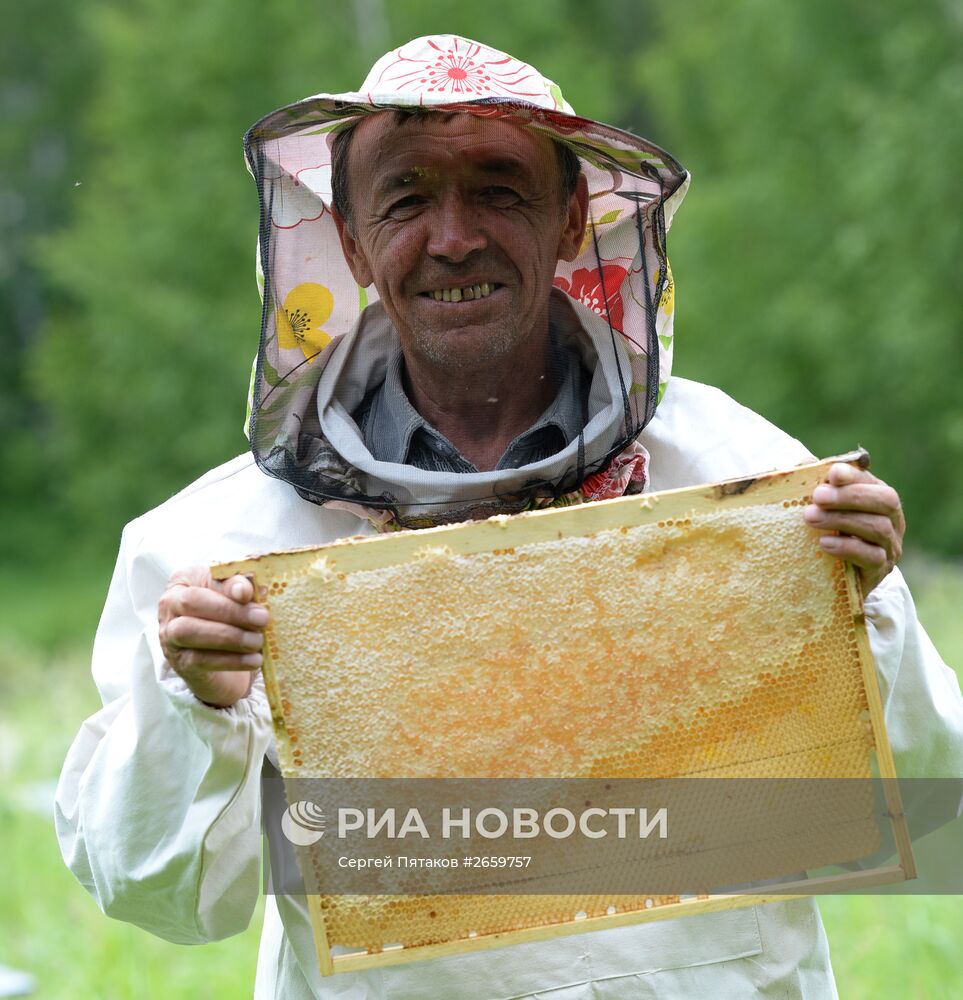 Государственный природный биосферный заповедник "Шульган-Таш" в Башкирии