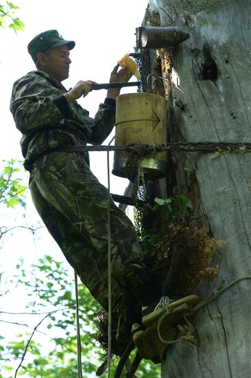 Государственный природный биосферный заповедник "Шульган-Таш" в Башкирии