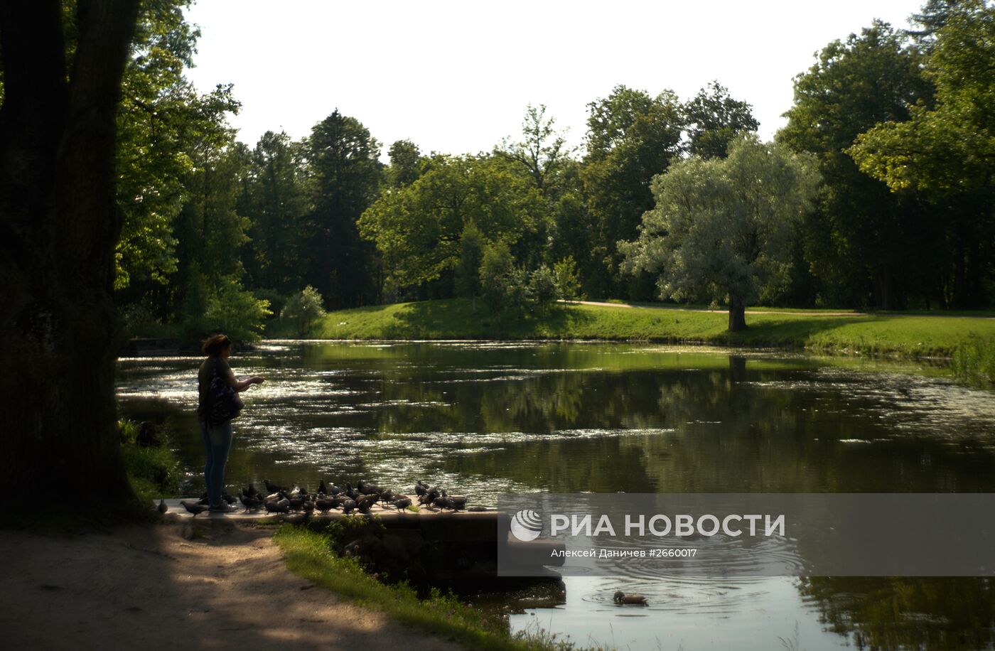 Александровский парк в Царском селе