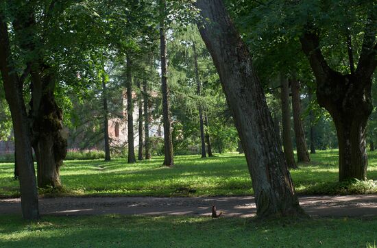 Александровский парк в Царском селе