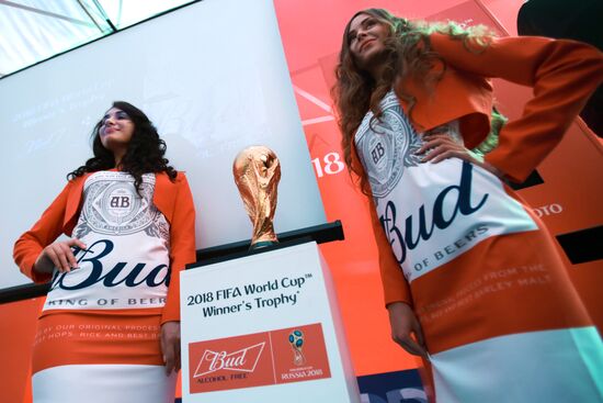 Кубок чемпионата мира по футболу прибыл в Санкт-Петербург