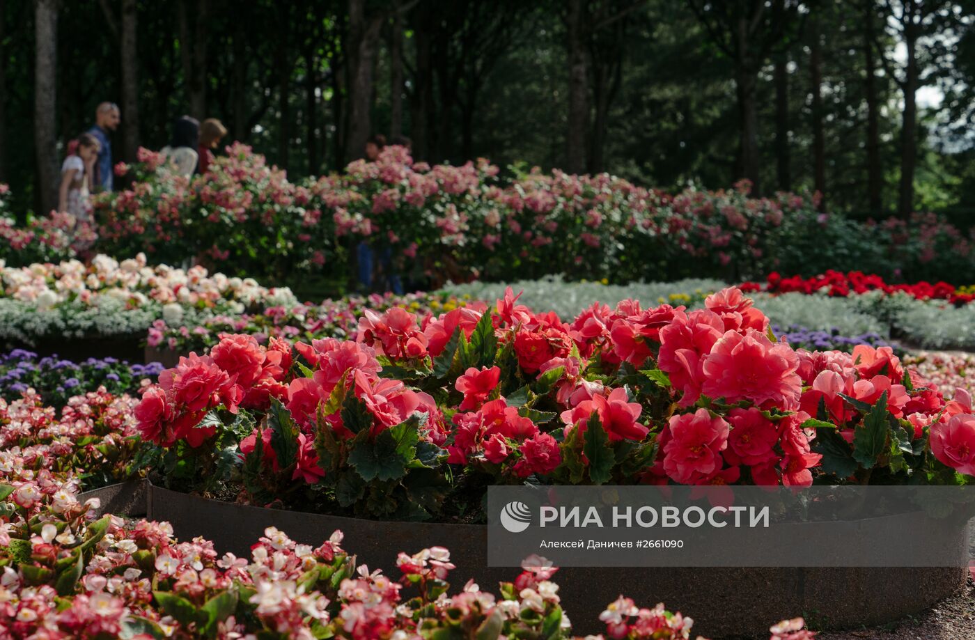 XV международный фестиваль цветочного и ландшафтного искусства "Императорский букет"