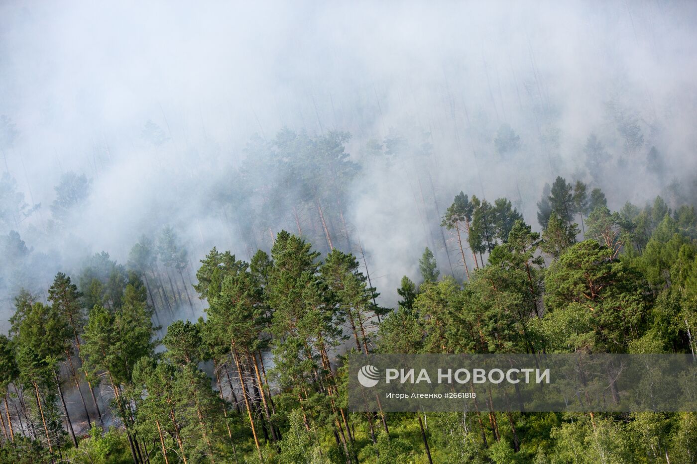 Пожары в Амурской области