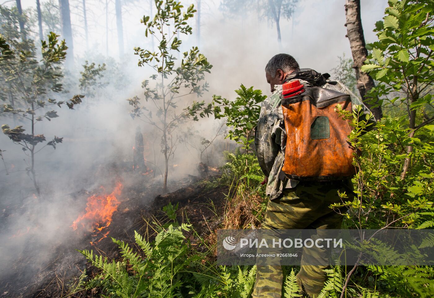 Пожары в Амурской области