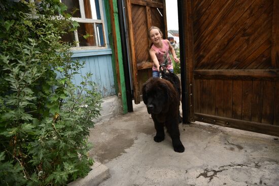 Даша Яицкая со щенком ньюфаундленда, подаренным президентом РФ В.Путиным