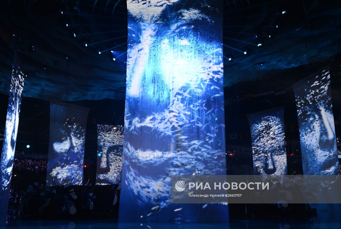 Церемония открытия XVI чемпионата мира по водным видам спорта