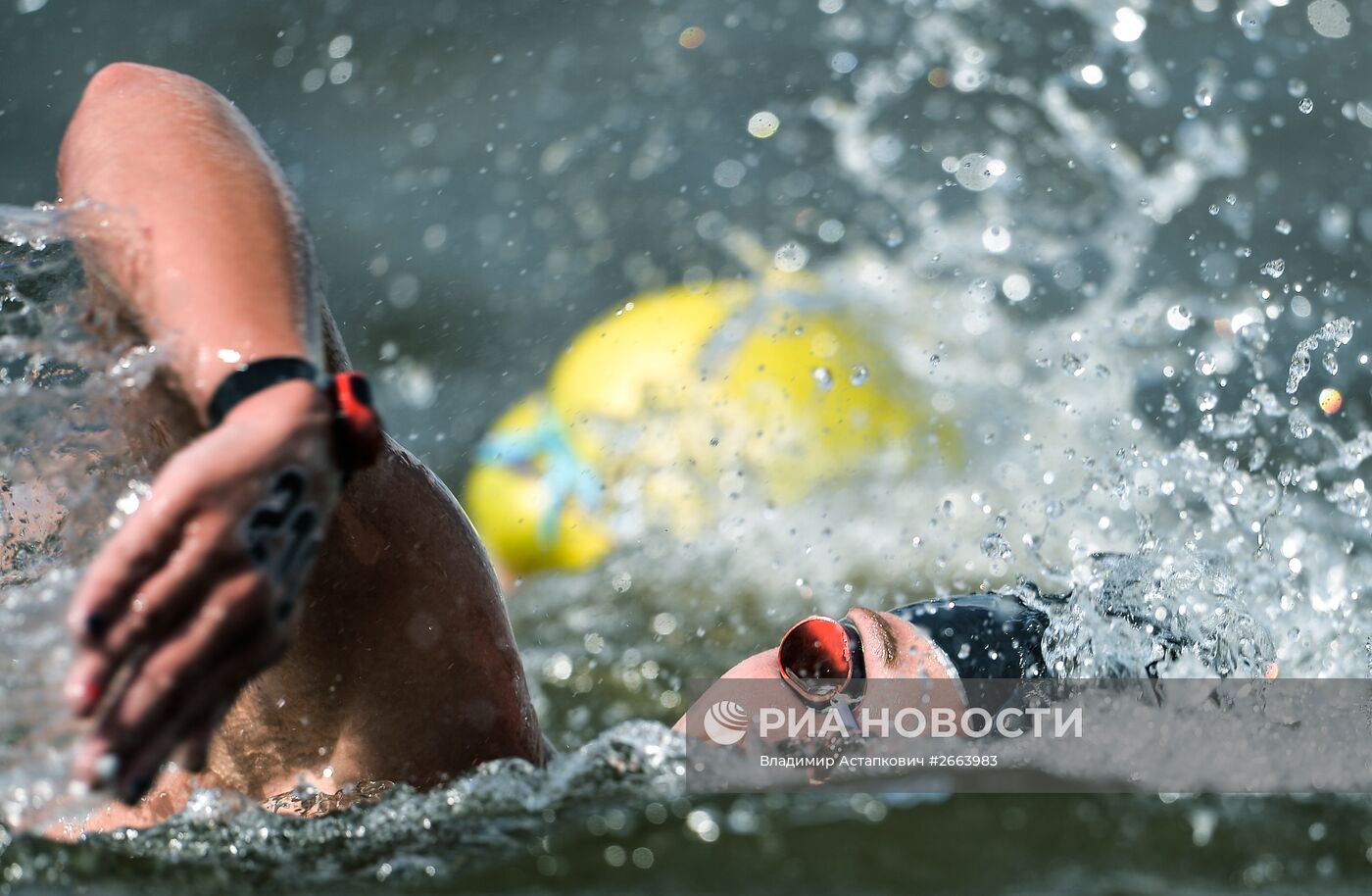 Чемпионат мира FINA 2015. Плавание на открытой воде. Женщины. 5 км