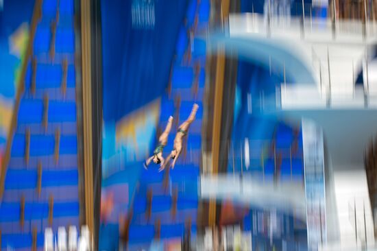 Чемпионат мира FINA 2015. Синхронные прыжки в воду. Смешанный дуэт. Вышка 10 м. Финал