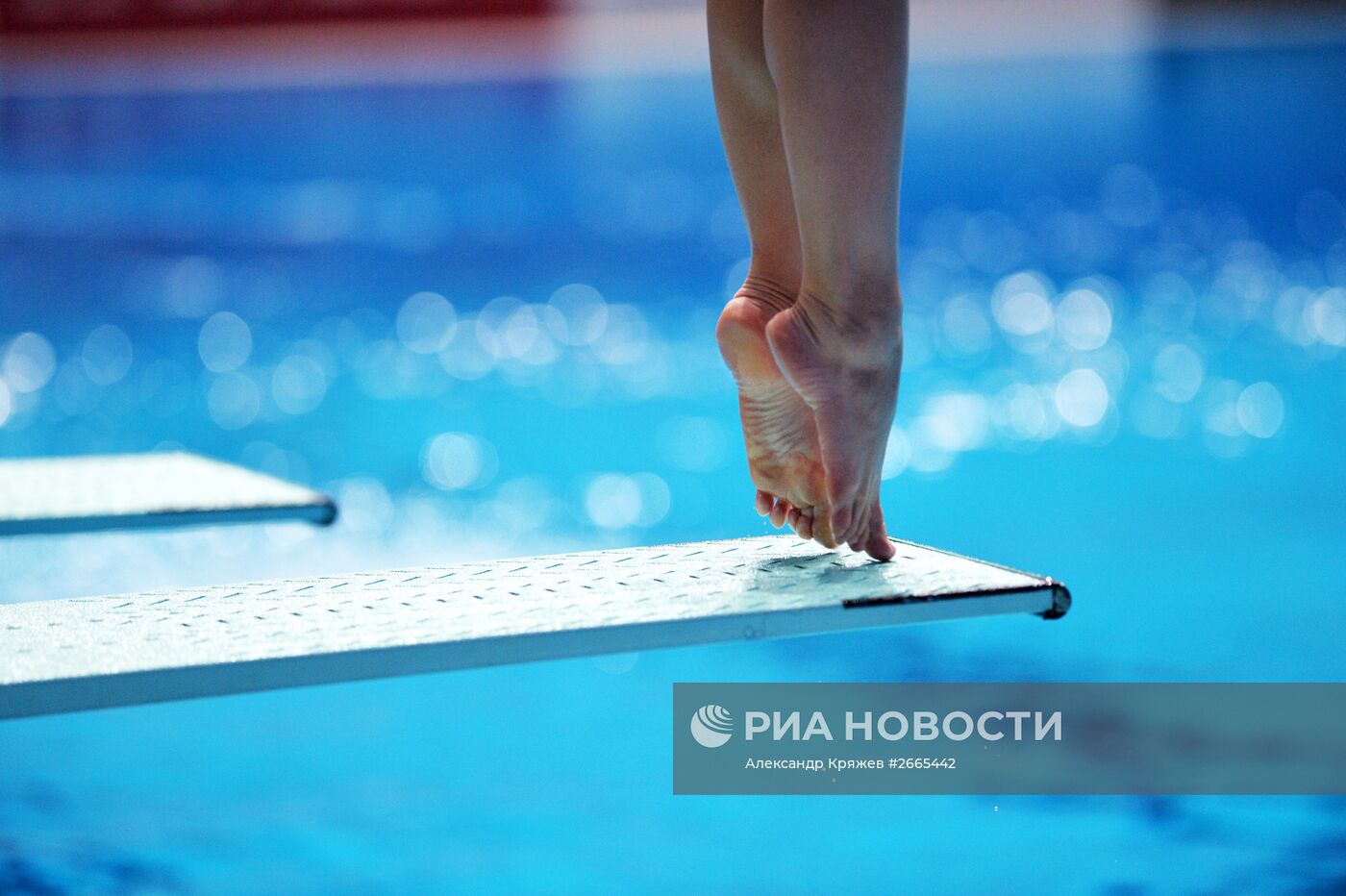 Чемпионат мира FINA 2015. Прыжки в воду. Женщины. Трамплин 1м. Предварительный раунд