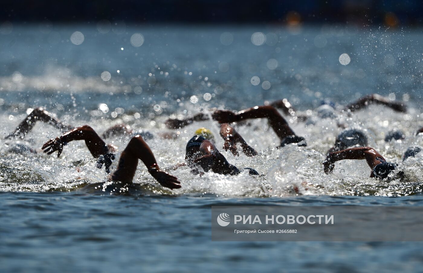 Чемпионат мира FINA 2015. Плавание на открытой воде. Мужчины. 10 км