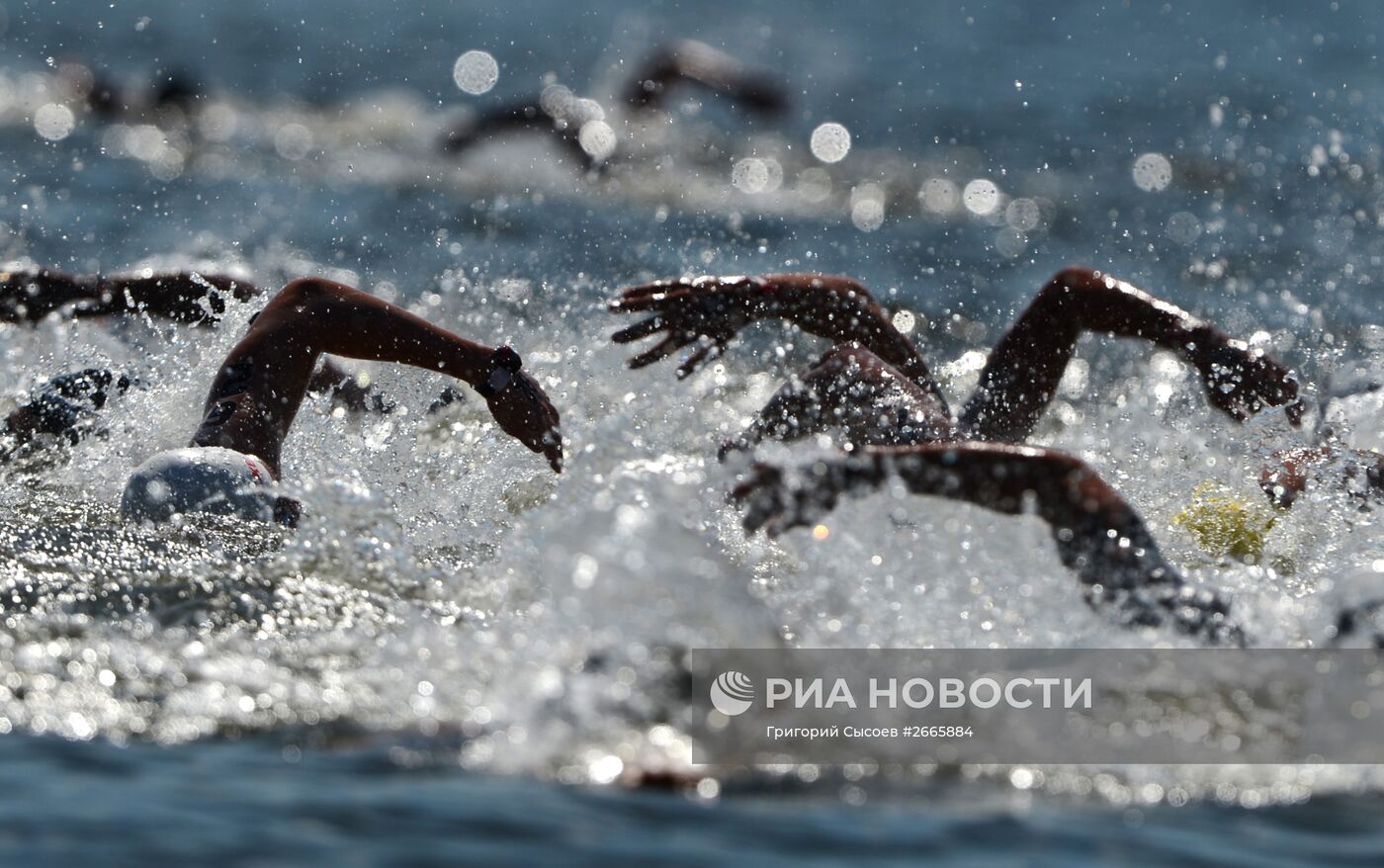 Чемпионат мира FINA 2015. Плавание на открытой воде. Мужчины. 10 км