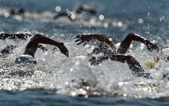 Чемпионат мира FINA 2015. Плавание на открытой воде. Мужчины. 10 км