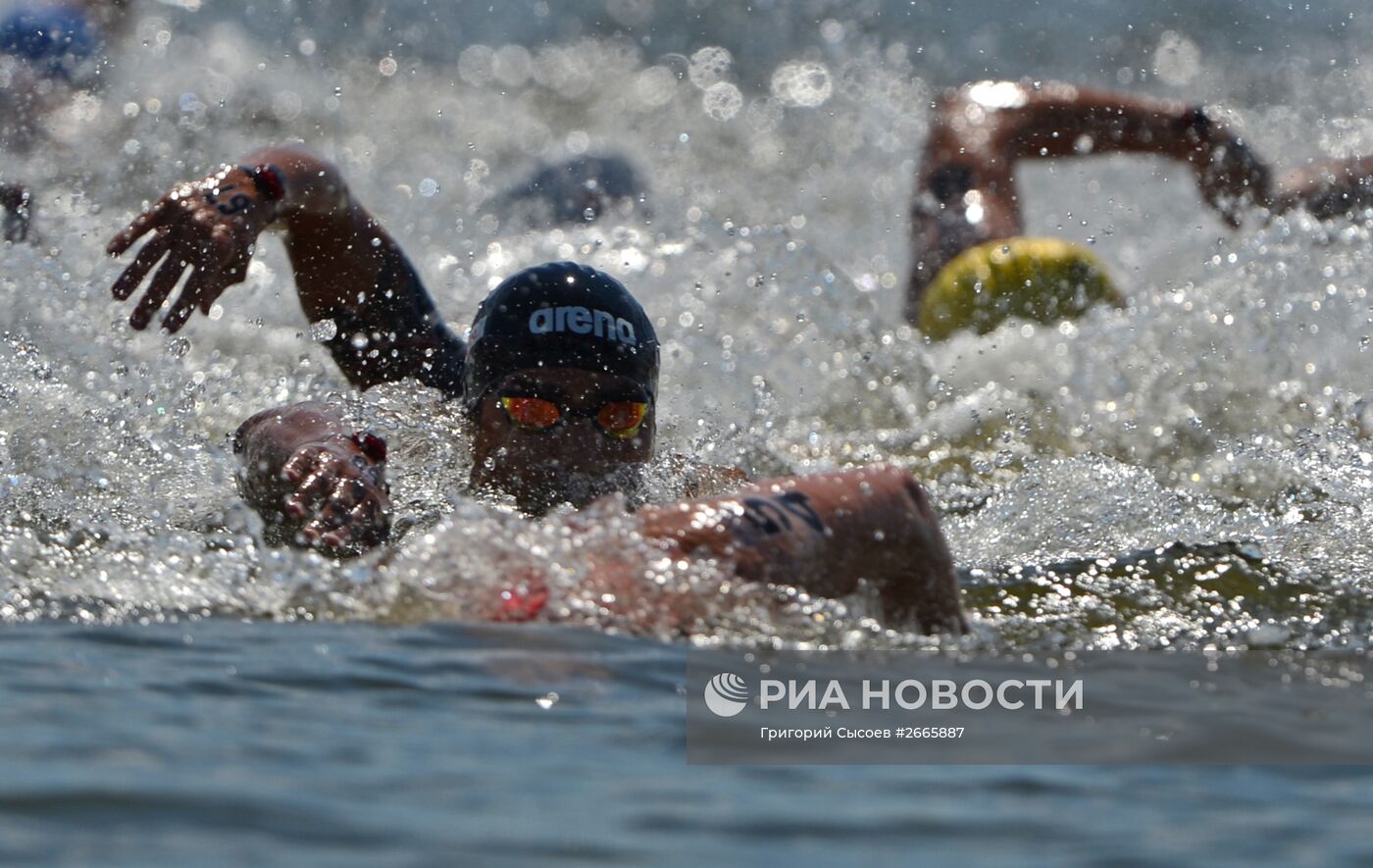 Чемпионат мира FINA 2015. Плавание на открытой воде. Мужчины. 10 км