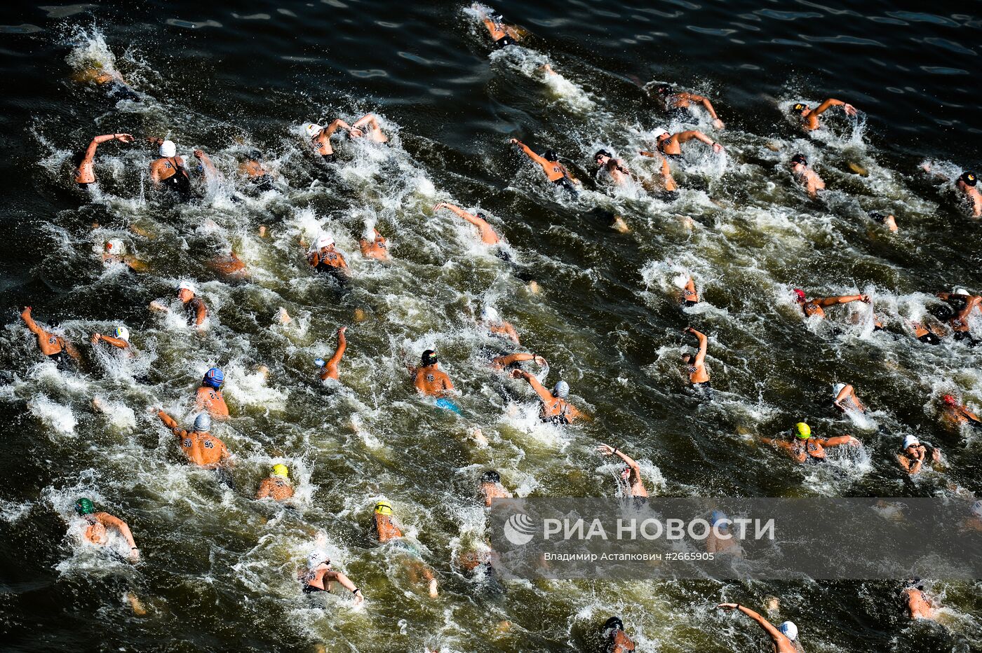 Чемпионат мира FINA 2015. Плавание на открытой воде. Мужчины. 10 км