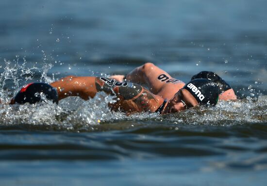 Чемпионат мира FINA 2015. Плавание на открытой воде. Мужчины. 10 км