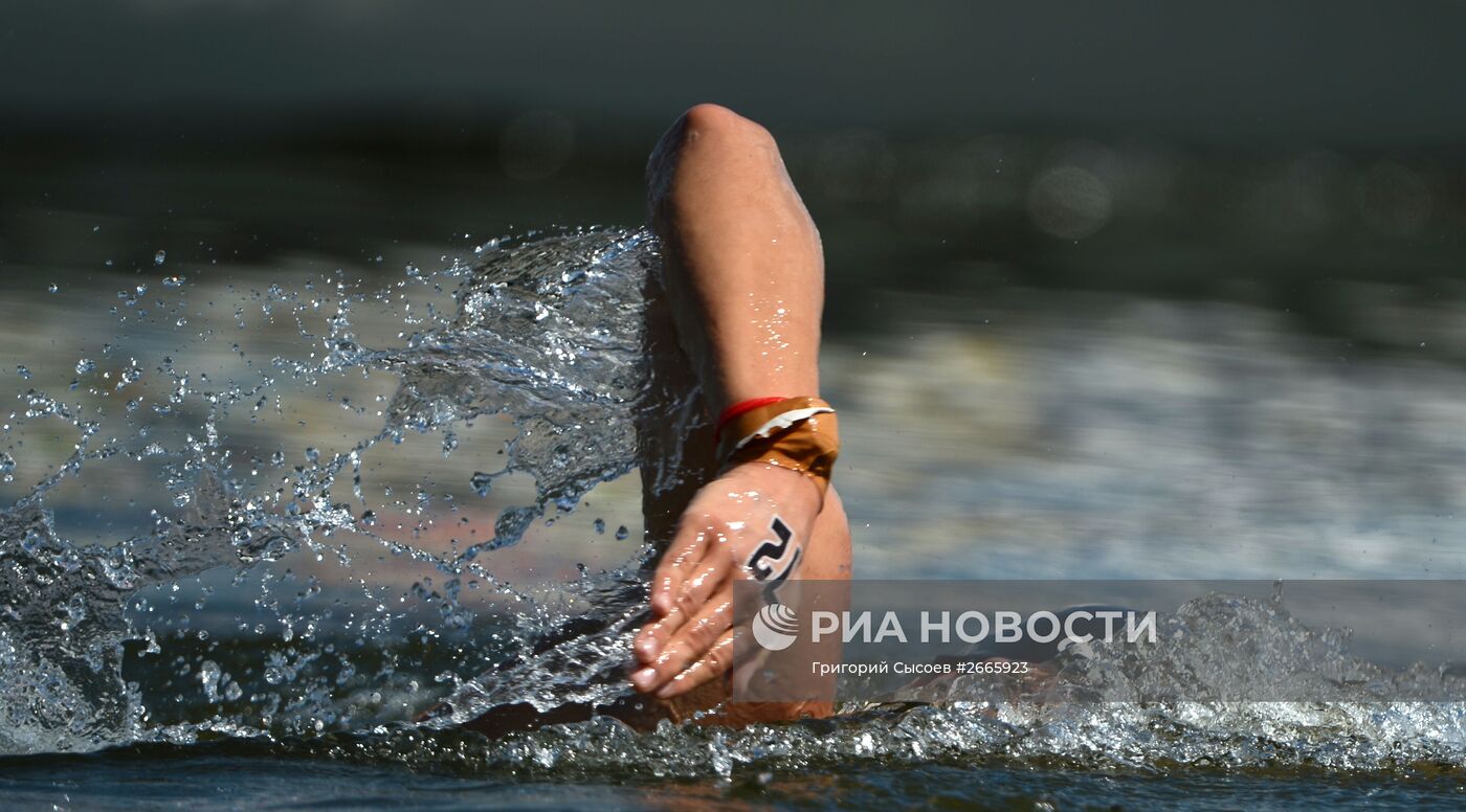 Чемпионат мира FINA 2015. Плавание на открытой воде. Мужчины. 10 км