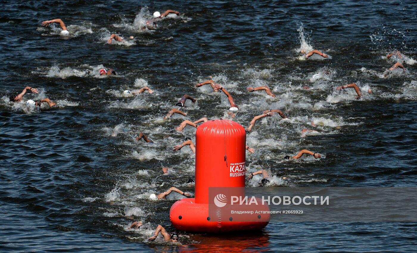 Чемпионат мира FINA 2015. Плавание на открытой воде. Мужчины. 10 км