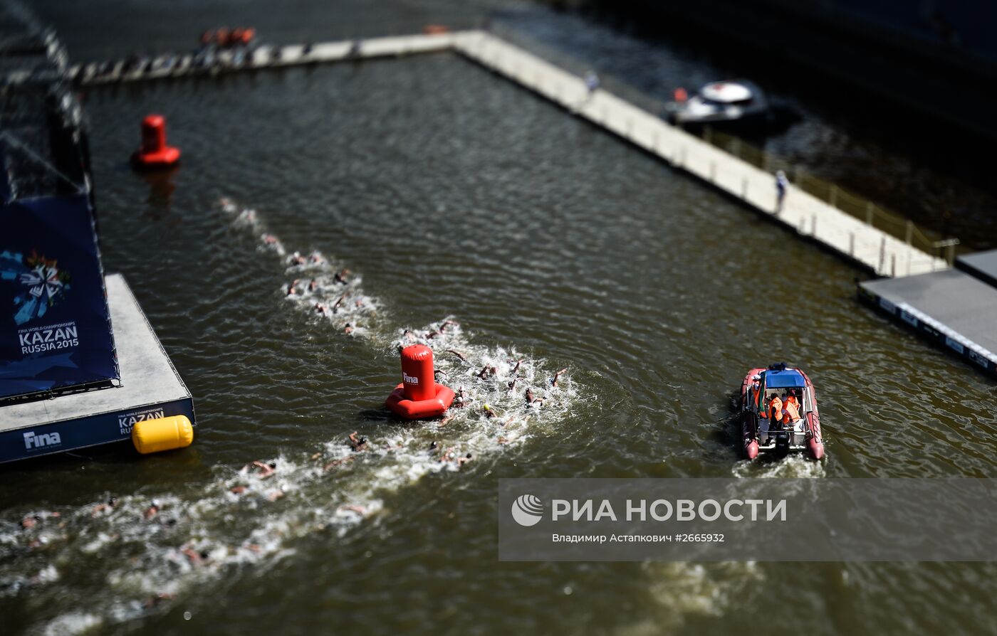 Чемпионат мира FINA 2015. Плавание на открытой воде. Мужчины. 10 км