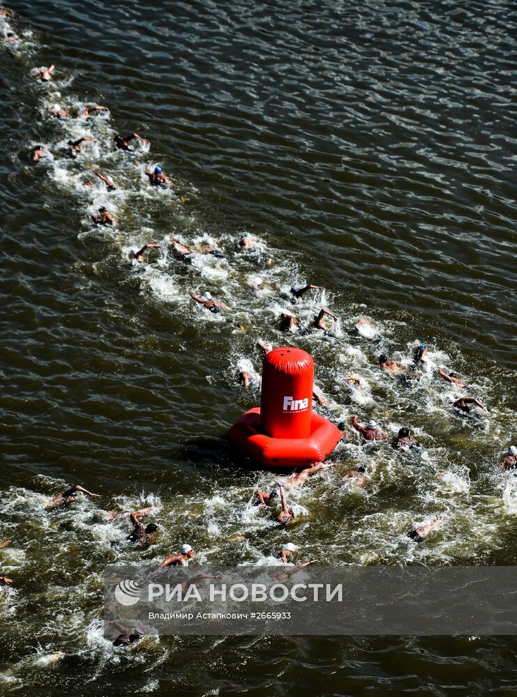 Чемпионат мира FINA 2015. Плавание на открытой воде. Мужчины. 10 км