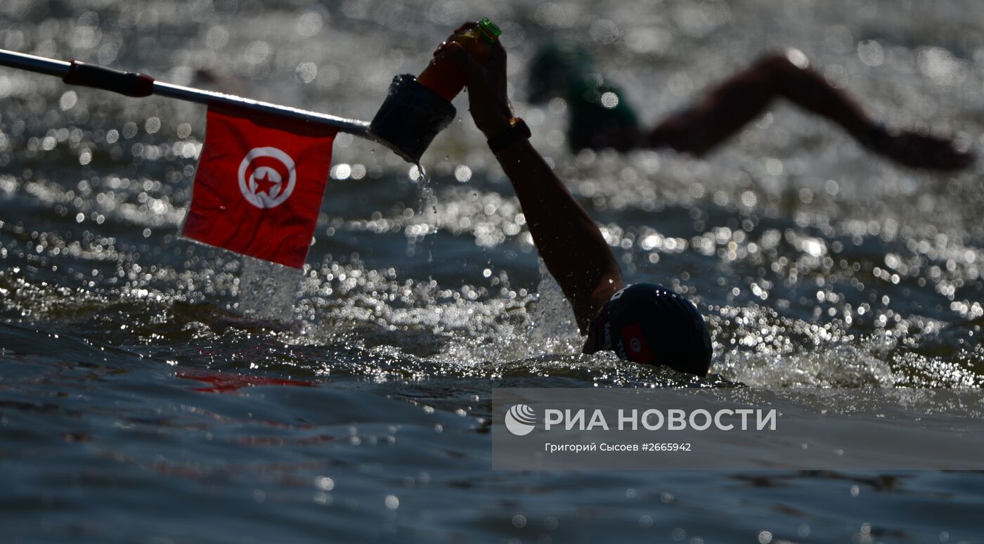 Чемпионат мира FINA 2015. Плавание на открытой воде. Мужчины. 10 км