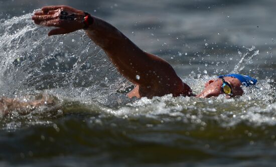 Чемпионат мира FINA 2015. Плавание на открытой воде. Мужчины. 10 км