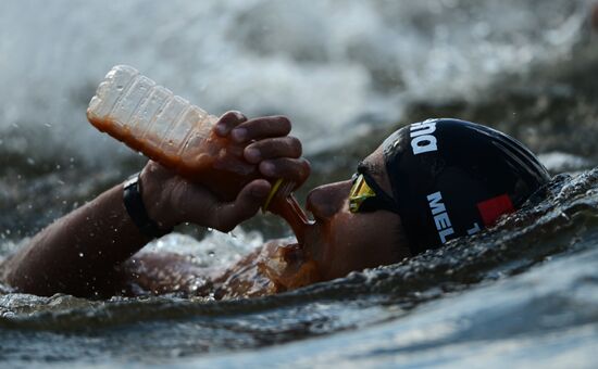 Чемпионат мира FINA 2015. Плавание на открытой воде. Мужчины. 10 км