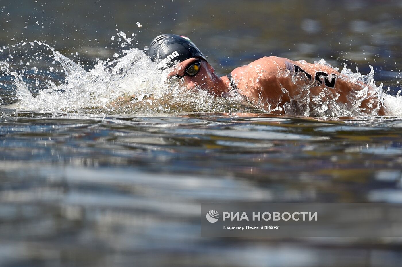 Чемпионат мира FINA 2015. Плавание на открытой воде. Мужчины. 10 км