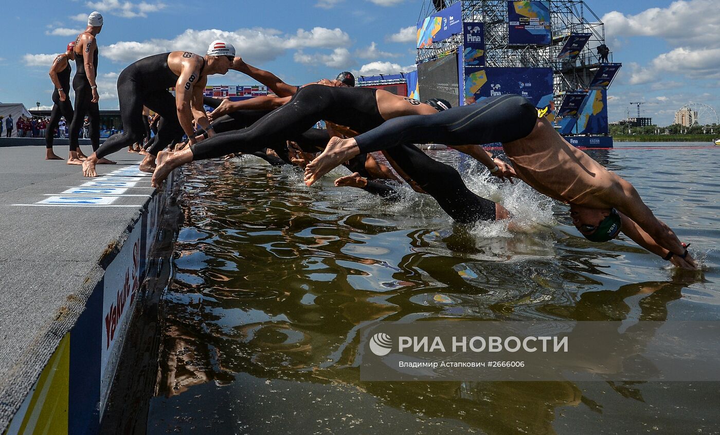 Чемпионат мира FINA 2015. Плавание на открытой воде. Мужчины. 10 км