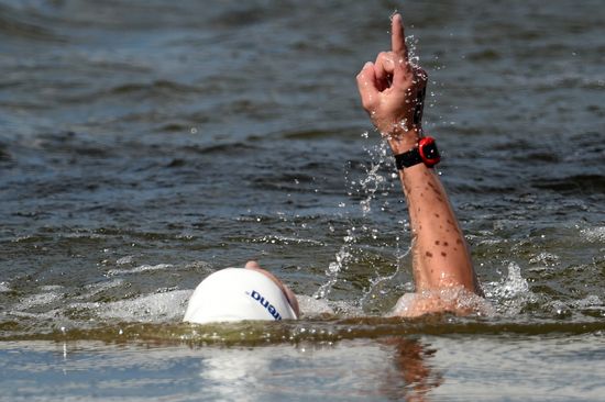 Чемпионат мира FINA 2015. Плавание на открытой воде. Мужчины. 10 км