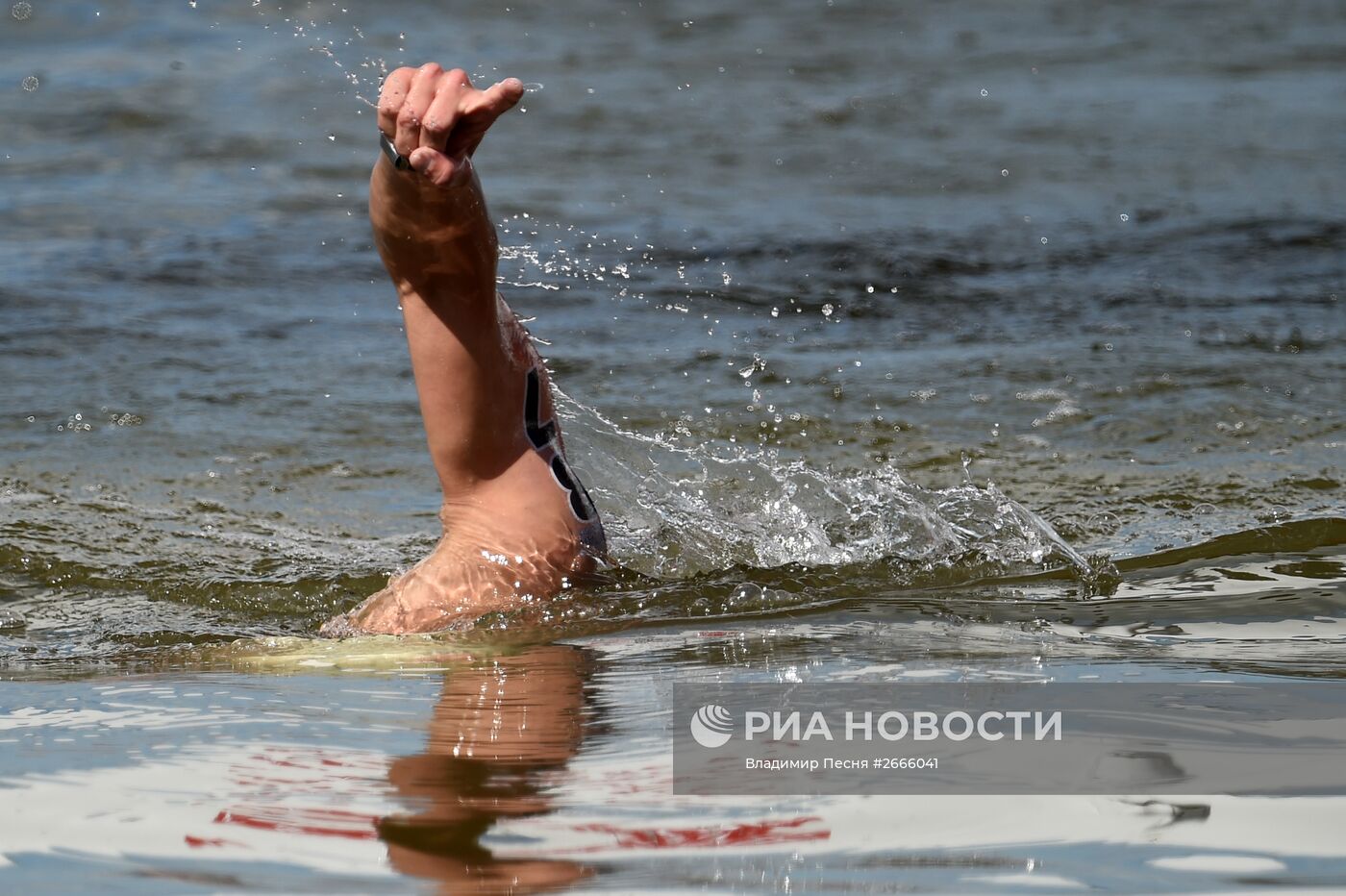 Чемпионат мира FINA 2015. Плавание на открытой воде. Мужчины. 10 км