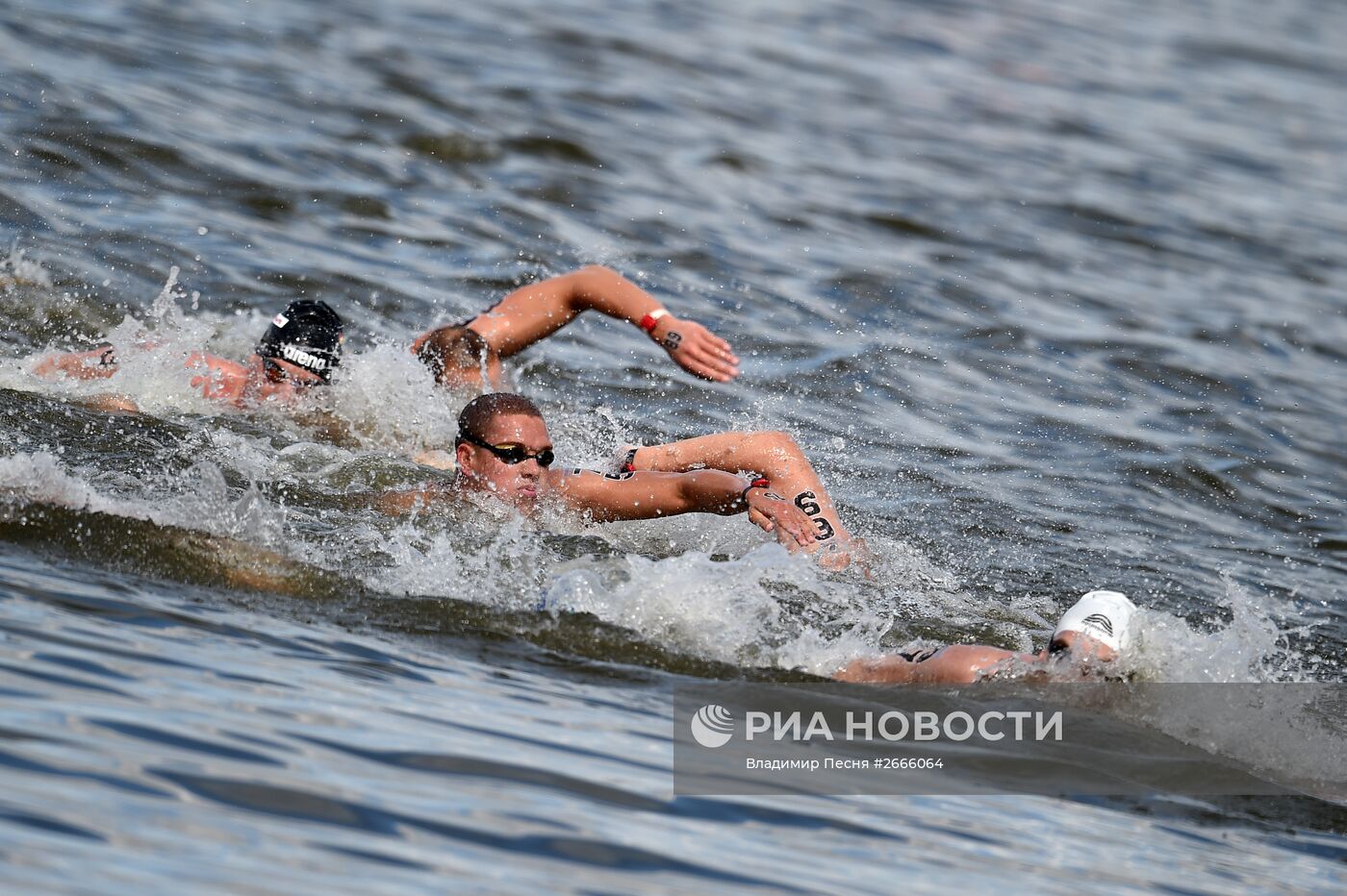 Чемпионат мира FINA 2015. Плавание на открытой воде. Мужчины. 10 км