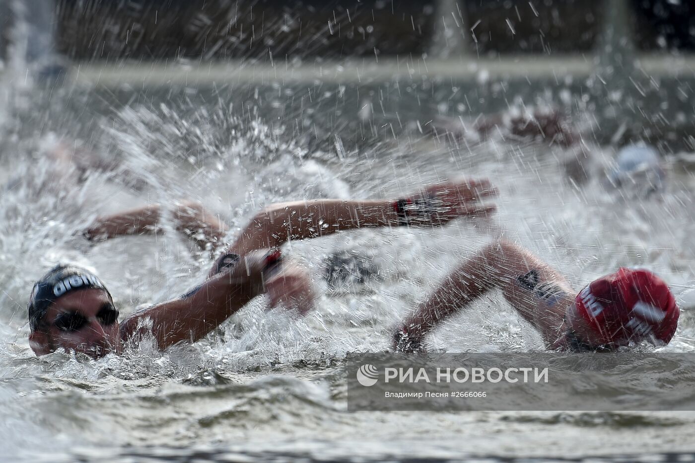 Чемпионат мира FINA 2015. Плавание на открытой воде. Мужчины. 10 км