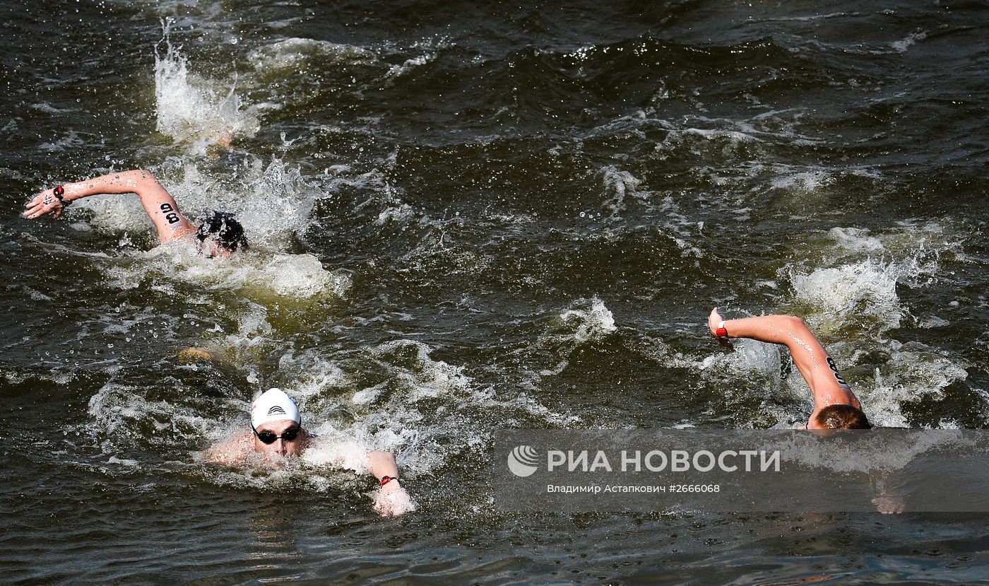 Чемпионат мира FINA 2015. Плавание на открытой воде. Мужчины. 10 км