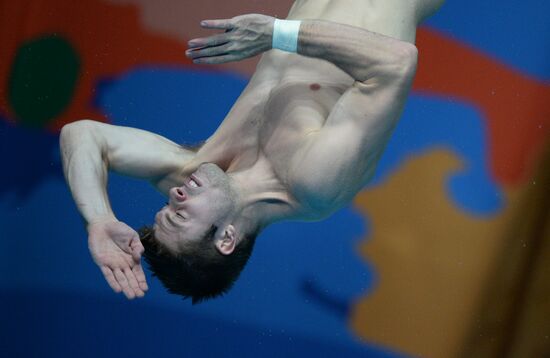 Чемпионат мира FINA 2015. Прыжки в воду. Мужчины. Трамплин 1м. Финал