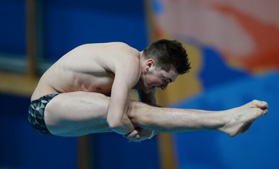 Чемпионат мира FINA 2015. Прыжки в воду. Мужчины. Трамплин 3 м. Финал