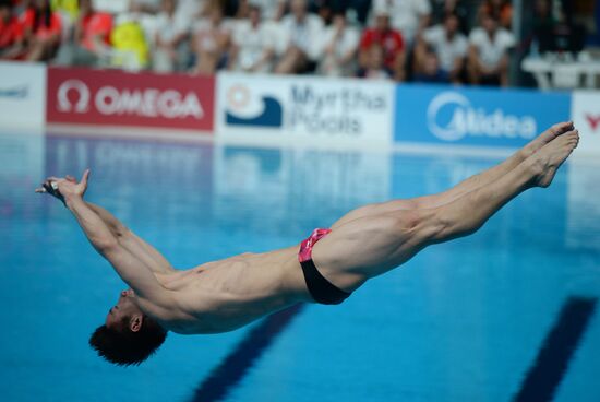 Чемпионат мира FINA 2015. Прыжки в воду. Мужчины. Трамплин 3 м. Финал