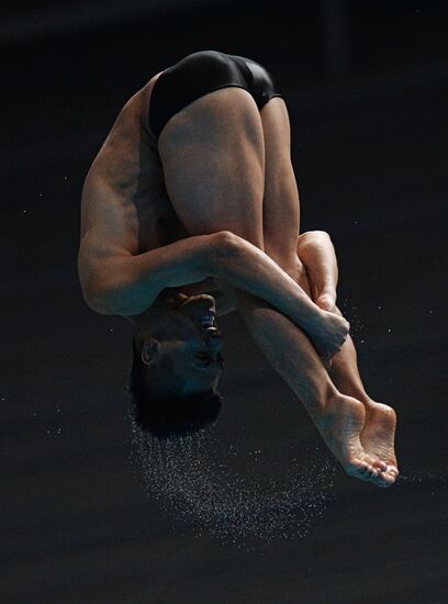 Чемпионат мира FINA 2015. Прыжки в воду. Мужчины. Трамплин 3 м. Финал